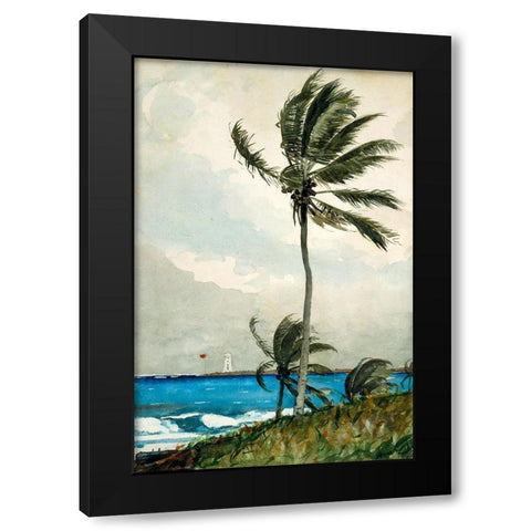 Palm Tree, Nassau Black Modern Wood Framed Art Print with Double Matting by Homer, Winslow