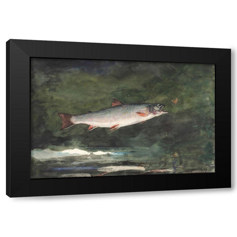Leaping Trout Black Modern Wood Framed Art Print with Double Matting by Homer, Winslow