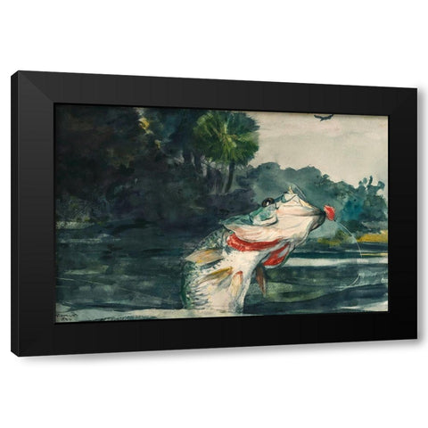 Life-Size Black Bass Black Modern Wood Framed Art Print with Double Matting by Homer, Winslow