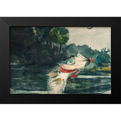 Life-Size Black Bass Black Modern Wood Framed Art Print by Homer, Winslow