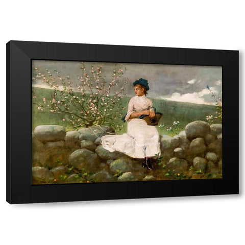 Peach Blossoms Black Modern Wood Framed Art Print with Double Matting by Homer, Winslow