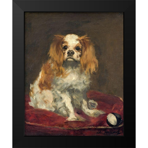 A King Charles Spaniel Black Modern Wood Framed Art Print by Manet, Edouard