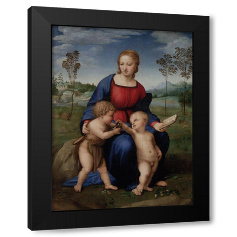 Madonna of the Goldfinch Black Modern Wood Framed Art Print with Double Matting by Raphael
