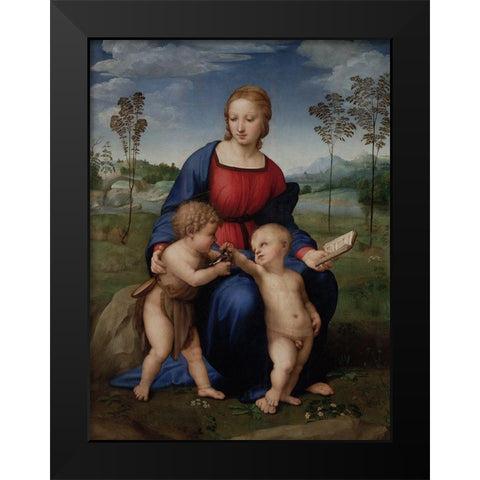 Madonna of the Goldfinch Black Modern Wood Framed Art Print by Raphael