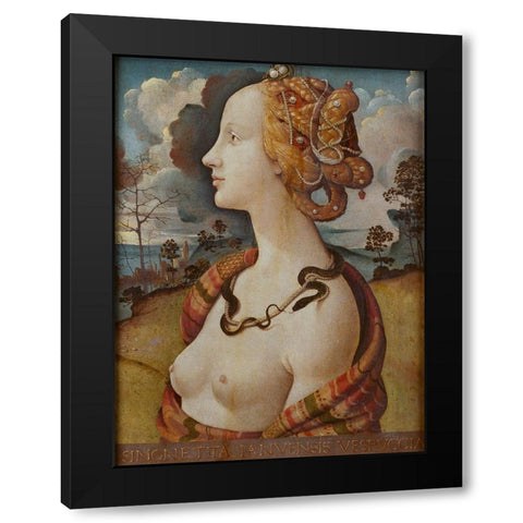 Portrait of Simonetta Vespucci Black Modern Wood Framed Art Print with Double Matting by di Cosimo, Piero