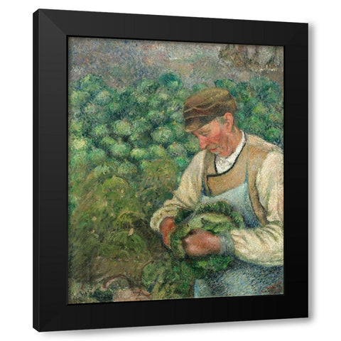 The Gardener - Old Peasant with Cabbage Black Modern Wood Framed Art Print by Pissarro, Camille