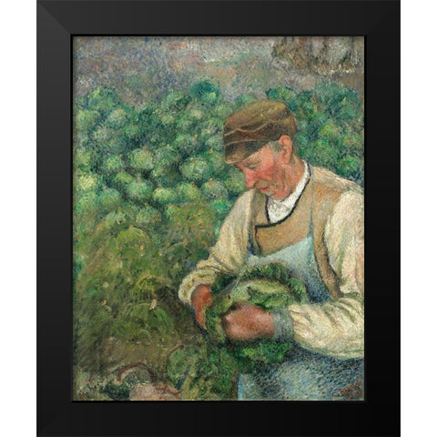 The Gardener - Old Peasant with Cabbage Black Modern Wood Framed Art Print by Pissarro, Camille