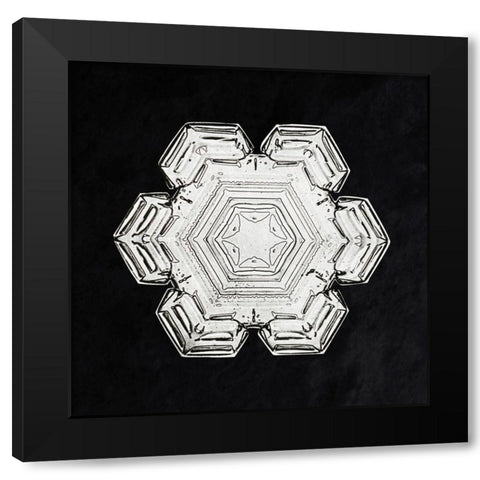 Snowflake 10 Black Modern Wood Framed Art Print by Bentley, Wilson