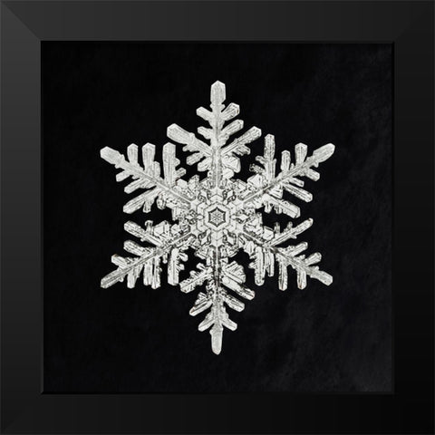 Snowflake 1152 Black Modern Wood Framed Art Print by Bentley, Wilson