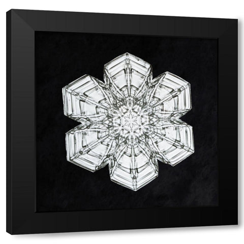 Snowflake 10A Black Modern Wood Framed Art Print by Bentley, Wilson