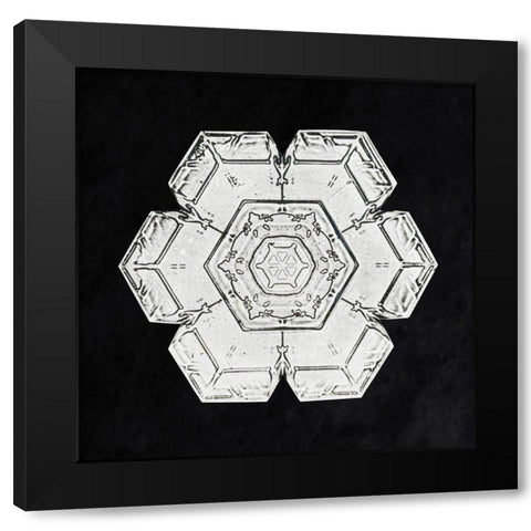 Snowflake 562 Black Modern Wood Framed Art Print by Bentley, Wilson