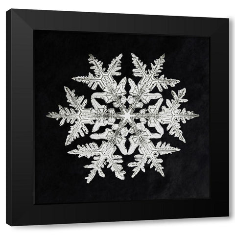 Snowflake 920 Black Modern Wood Framed Art Print with Double Matting by Bentley, Wilson