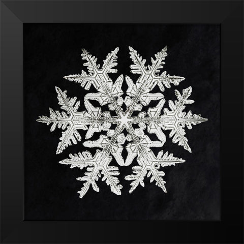 Snowflake 920 Black Modern Wood Framed Art Print by Bentley, Wilson
