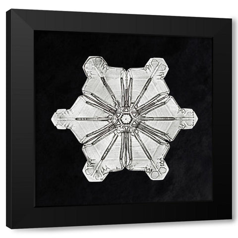 Snowflake 976 Black Modern Wood Framed Art Print by Bentley, Wilson