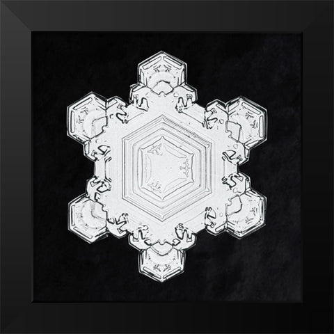Snowflake 1205 Black Modern Wood Framed Art Print by Bentley, Wilson