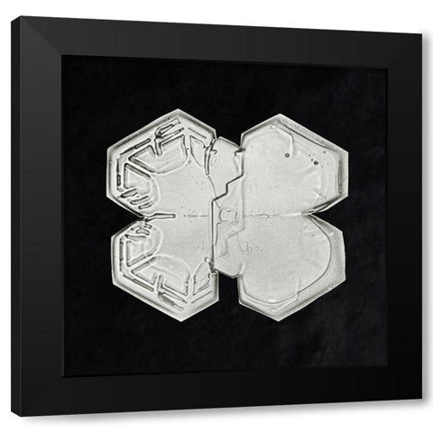Snowflake 1225 Black Modern Wood Framed Art Print by Bentley, Wilson