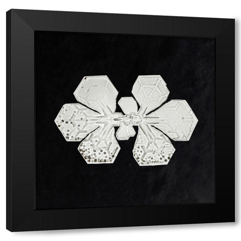Snowflake 349 Black Modern Wood Framed Art Print by Bentley, Wilson