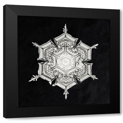 Snowflake 579A Black Modern Wood Framed Art Print by Bentley, Wilson