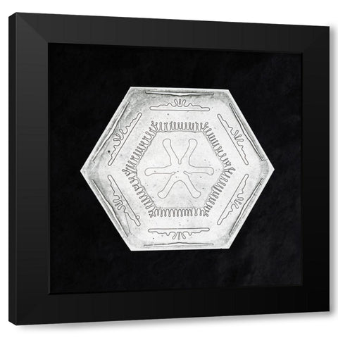 Snowflake 10B Black Modern Wood Framed Art Print with Double Matting by Bentley, Wilson