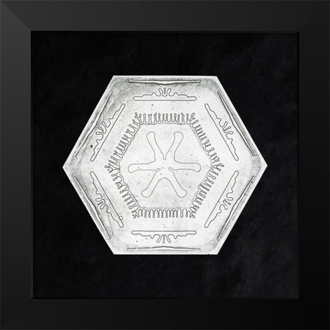 Snowflake 10B Black Modern Wood Framed Art Print by Bentley, Wilson