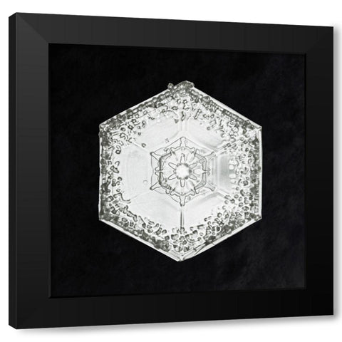 Snowflake 951 Black Modern Wood Framed Art Print with Double Matting by Bentley, Wilson