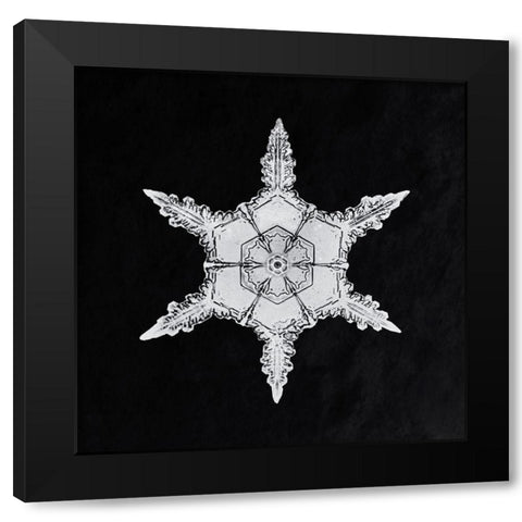 Snowflake 342 Black Modern Wood Framed Art Print by Bentley, Wilson