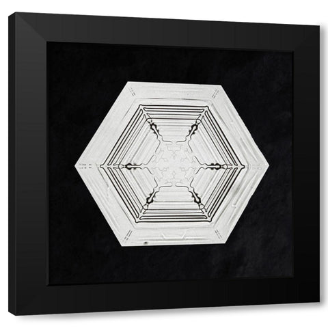 Snowflake 234 Black Modern Wood Framed Art Print by Bentley, Wilson
