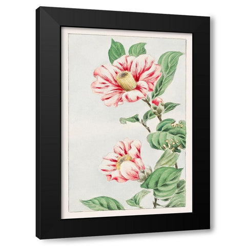 Tsubaki camelia Black Modern Wood Framed Art Print by Morikaga, Megata