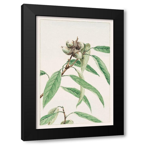 Kashi Black Modern Wood Framed Art Print by Morikaga, Megata