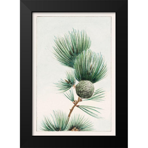Gayo matsu pine Black Modern Wood Framed Art Print by Morikaga, Megata