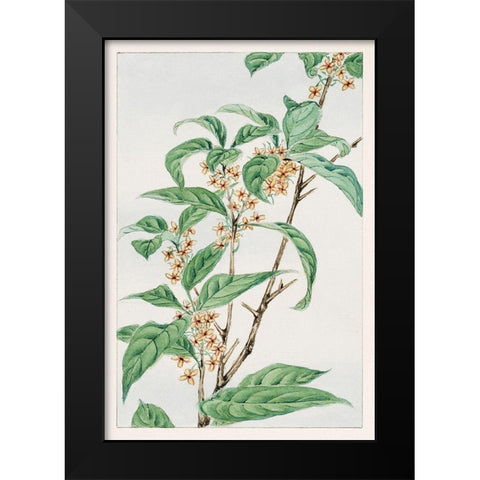 Stem with leaves and small flowers Black Modern Wood Framed Art Print by Morikaga, Megata