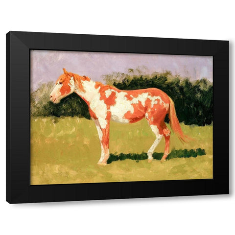 Pinto horse Black Modern Wood Framed Art Print with Double Matting by Remington, Frederic