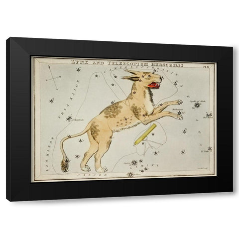 Astronomical chart illustration of Lynx and the Telescopium Herschilii Black Modern Wood Framed Art Print with Double Matting by Hall, Sidney