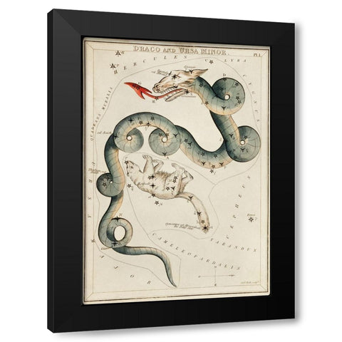 Astronomical chart illustration of the Draco and the Ursa Minor Black Modern Wood Framed Art Print with Double Matting by Hall, Sidney