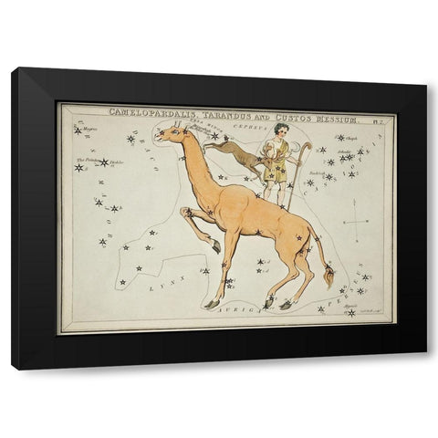 Astronomical chart illustration of the Camelopardalis-Tarandus and the Custos Messium Black Modern Wood Framed Art Print with Double Matting by Hall, Sidney
