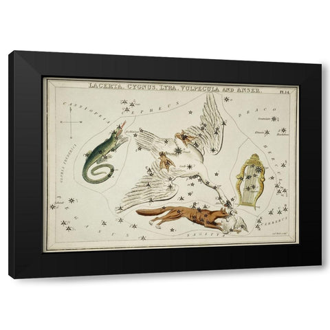 Astronomical chart illustration of the Lacerta-Cygnus-Lyra-Vulpecula and the Anser Black Modern Wood Framed Art Print with Double Matting by Hall, Sidney