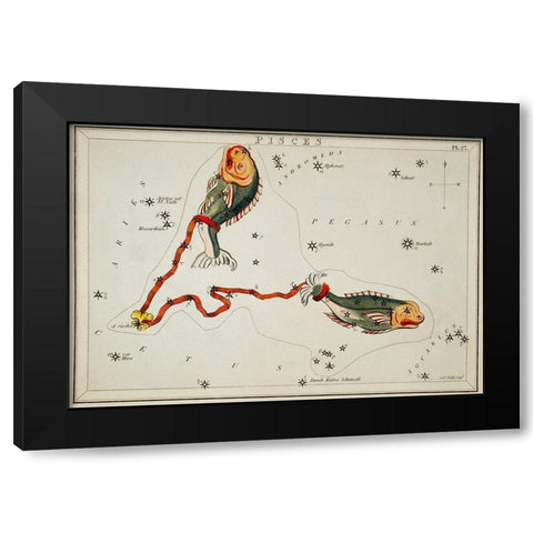Astronomical chart illustration of the Pisces Black Modern Wood Framed Art Print with Double Matting by Hall, Sidney