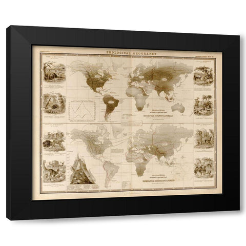 Zoological Geography Ruminants Black Modern Wood Framed Art Print with Double Matting by Vintage Maps