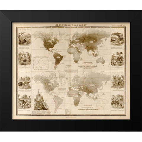 Zoological Geography Ruminants Black Modern Wood Framed Art Print by Vintage Maps