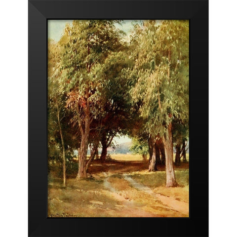 A Eucalyptus Grove-California 1914 Black Modern Wood Framed Art Print by Palmer, Sutton