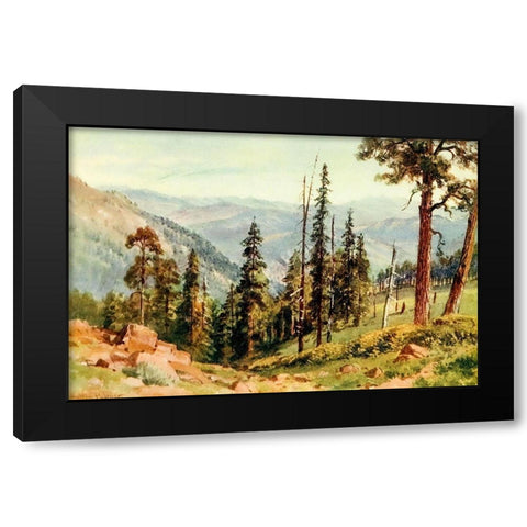 Redwoods of Great Twin Valleys-California 1914 Black Modern Wood Framed Art Print with Double Matting by Palmer, Sutton
