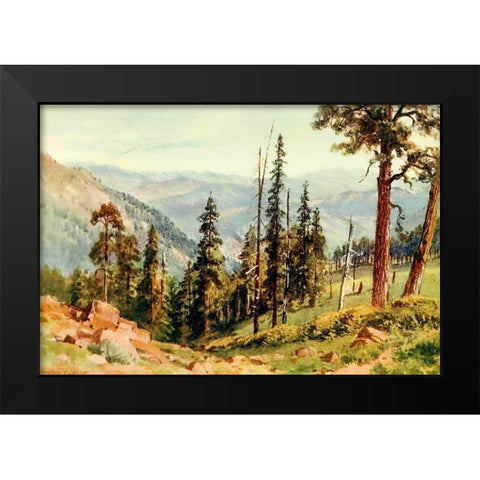 Redwoods of Great Twin Valleys-California 1914 Black Modern Wood Framed Art Print by Palmer, Sutton
