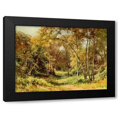 Tall Chaparral-Santa Cruz-California 1914 Black Modern Wood Framed Art Print by Palmer, Sutton