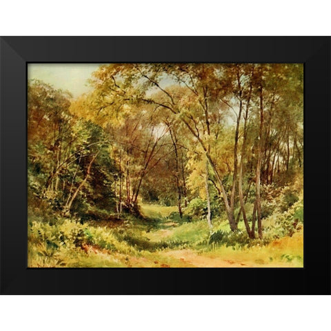 Tall Chaparral-Santa Cruz-California 1914 Black Modern Wood Framed Art Print by Palmer, Sutton