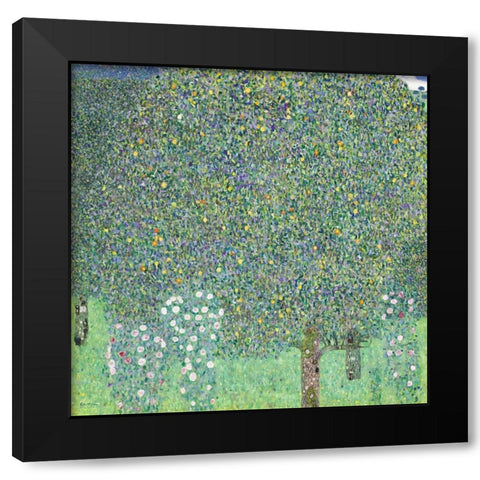 Rosebushes under the Trees Black Modern Wood Framed Art Print with Double Matting by Klimt, Gustav