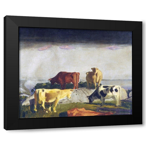 Five Cows Black Modern Wood Framed Art Print with Double Matting by Bellows, George