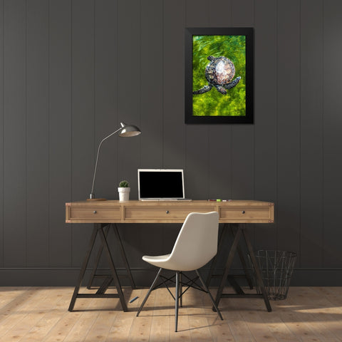 Green Sea Turtle Black Modern Wood Framed Art Print by NASA