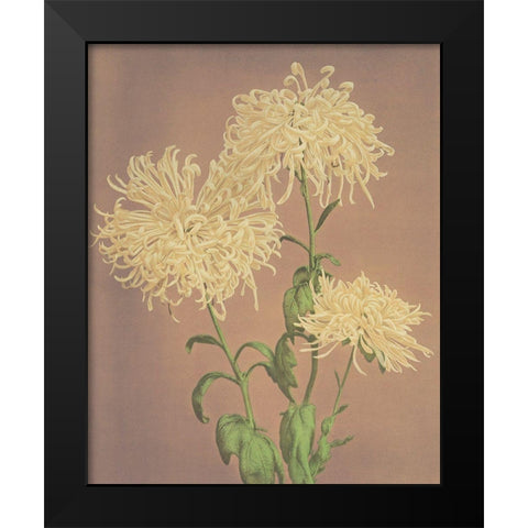 Three Yellow Chrysanthemums Black Modern Wood Framed Art Print by Kazumasa, Ogawa