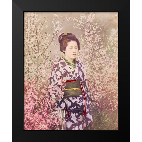 Geisha and Cherry Blossom Black Modern Wood Framed Art Print by Kazumasa, Ogawa