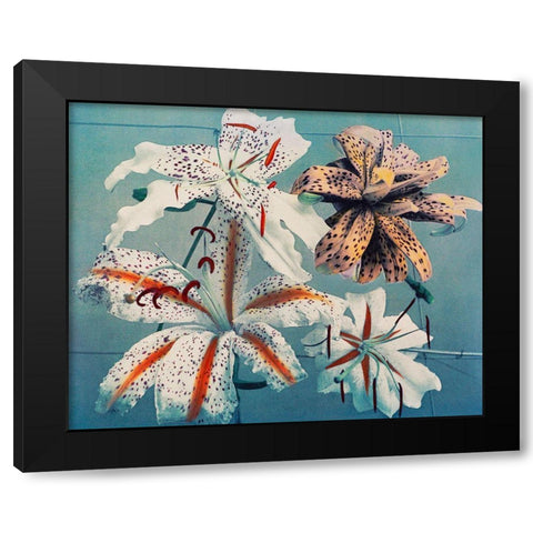 Lily II Black Modern Wood Framed Art Print by Kazumasa, Ogawa